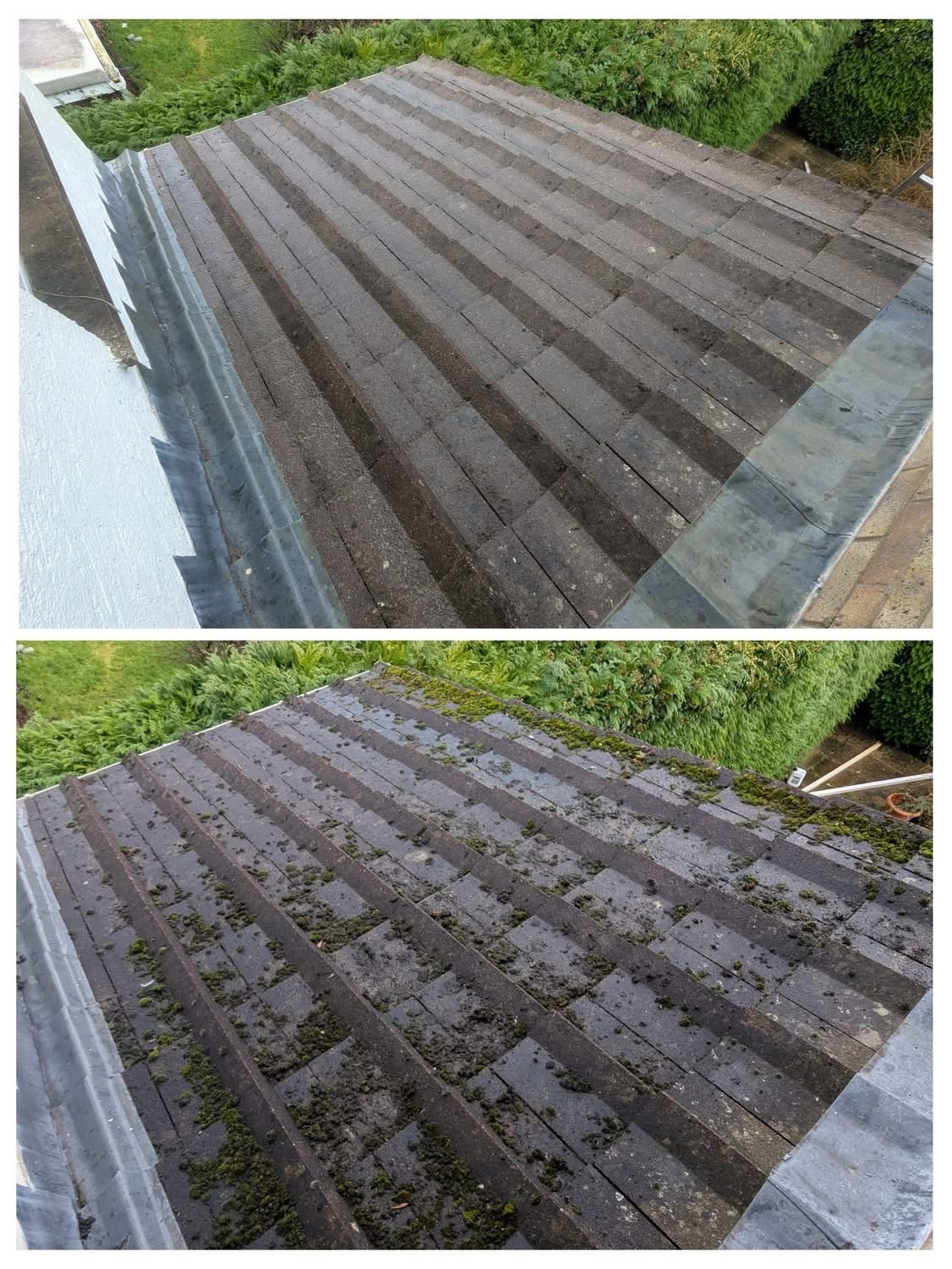 Before and after: heavy moss removed from a tiled roof