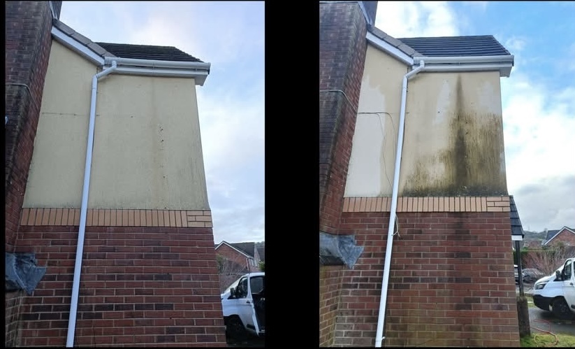Before and after: algae-stained render soft-washed back to clean